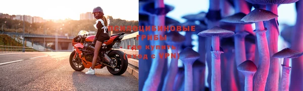 круглые Алексин