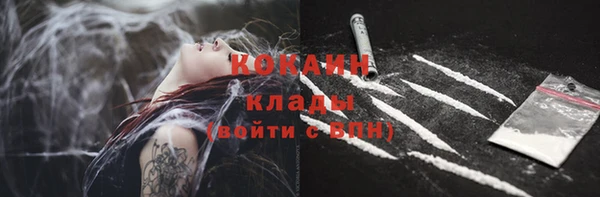 гашик Аркадак