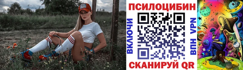 дарнет шоп  Котельниково  Псилоцибиновые грибы GOLDEN TEACHER 
